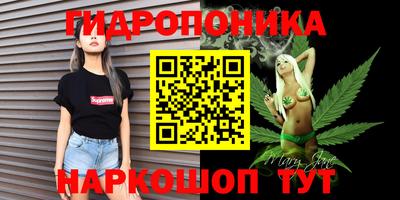 скорость Долгопрудный