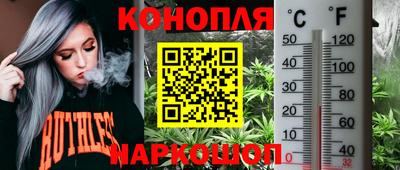 МДПВ Дмитров