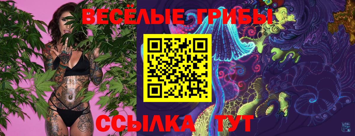 Галлюциногенные грибы GOLDEN TEACHER Аксай